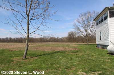 Area cleared by Kramer's Tree Service