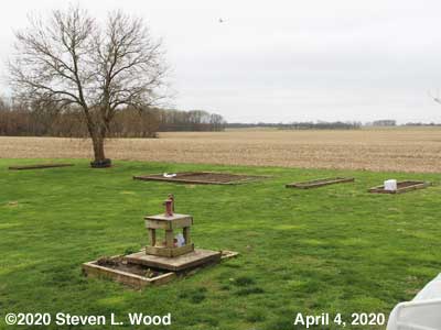 Our Senior Garden - April 4, 2020