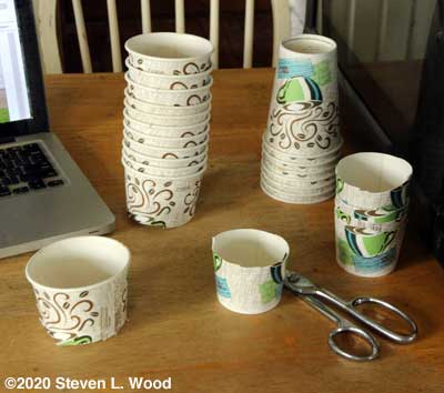 Making cutworm collars