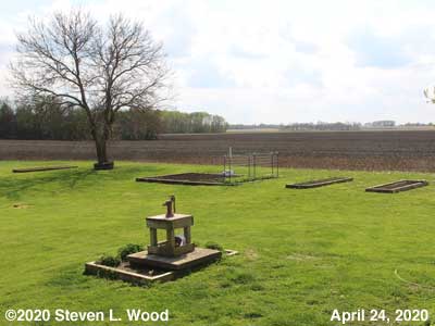 Our Senior Garden - April 24, 2020