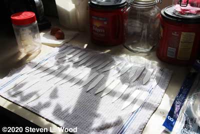 Drying plant labels