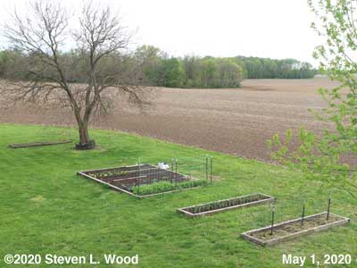 Our Senior Garden - May 1, 2020