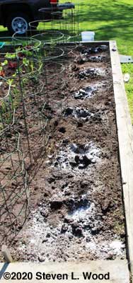 Soil amendments in and around planting holes
