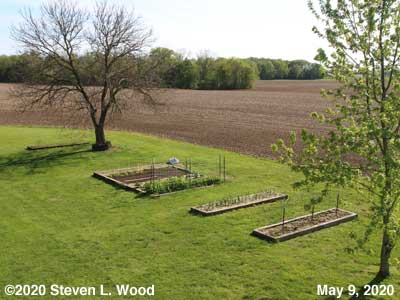 Our Senior Garden - May 9, 2020