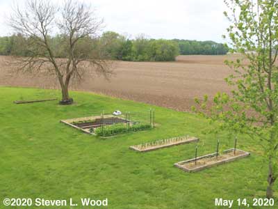 Our Senior Garden - May 14, 2020