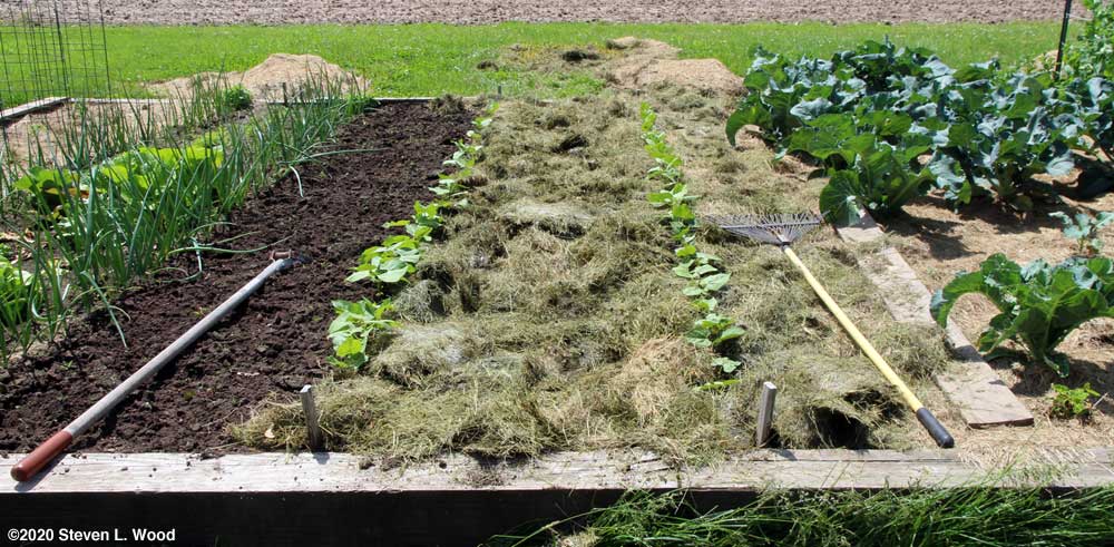 Mulching partly done