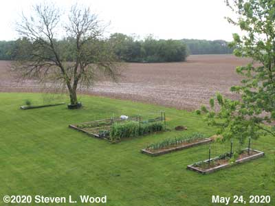 Our Senior Garden - May 24, 2020
