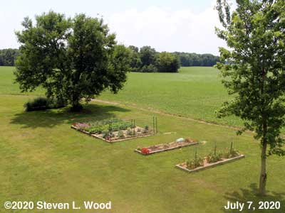 Our Senior Garden - July 7, 2020