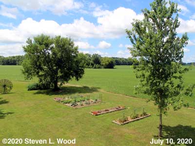 Our Senior Garden - July 10, 2020