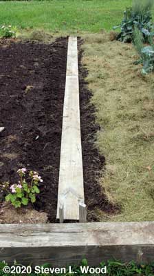 Walking boards laid over planted rows