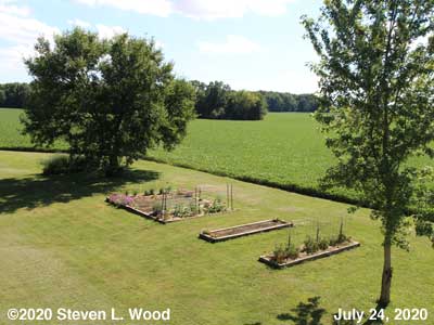 Our Senior Garden - July 24, 2020