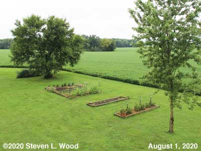 Our Senior Garden - August 1, 2020