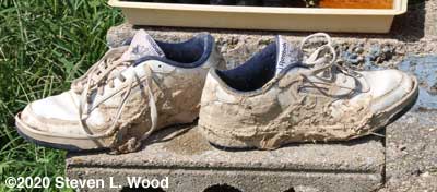 Muddy gardening shoes