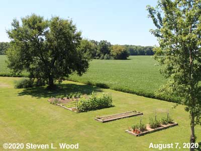 Our Senior Garden - August 7, 2020