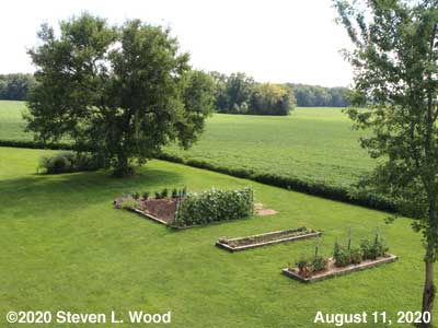Our Senior Garden - August 11, 2020