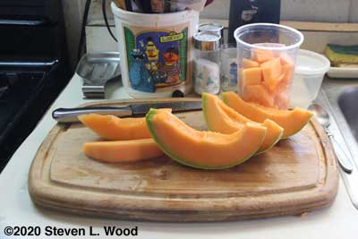 Cutting melon into chumks