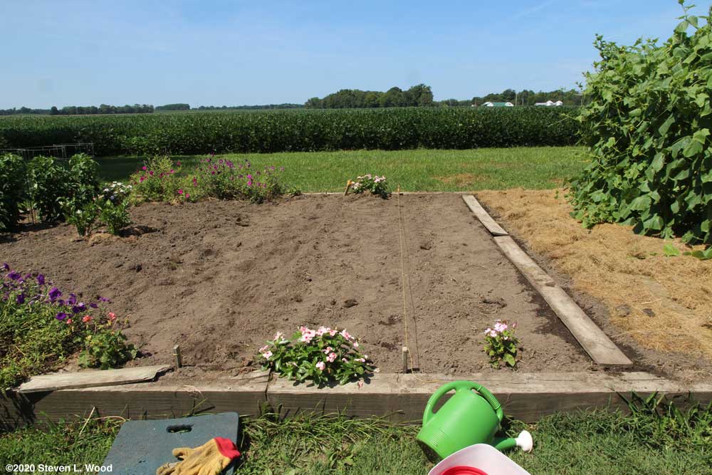 Main bed replanted
