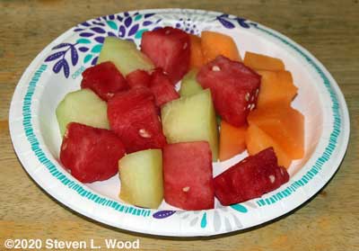 Cut melon pieces