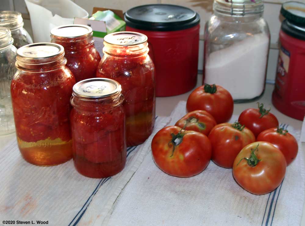 Canned and some underripe tomatoes