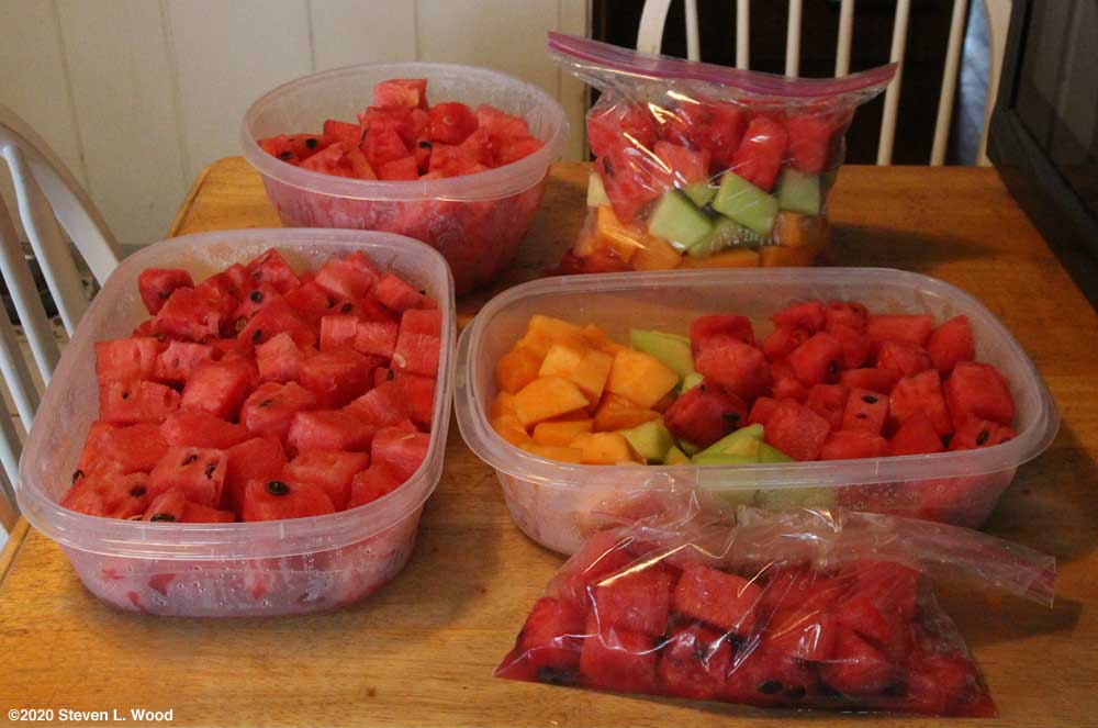 Cut melon