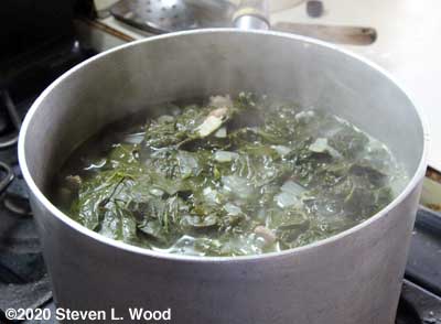 Kale with onions, garlic, and bacon boiling down