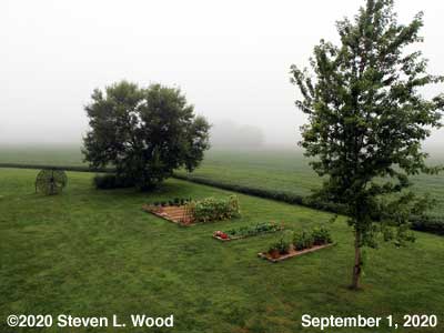 Our Senior Garden - September 1, 2020
