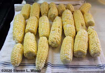 More sweet corn