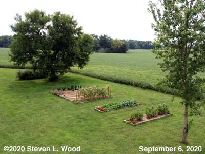 Our Senior Garden - September 6, 2020