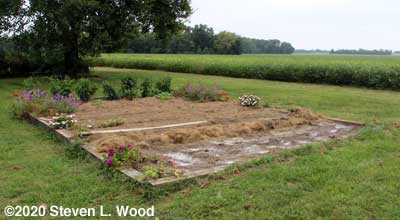 Vines, posts, trellis netting, and mulch removed