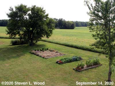 Our Senior Garden - September 14, 2020