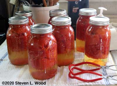 Canned whole tomatoes
