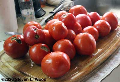 Some tomatoes for purée