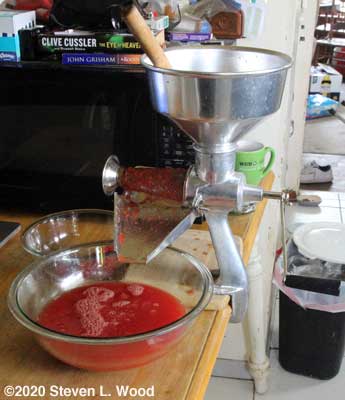 Tomatoes going through a Squeezo Strainer