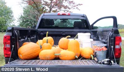 Pumpkins and tomatoes on truck