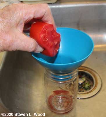 Squeezing seeds from tomatoes