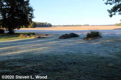 First Frost on our Senior Garden - October 5, 2020