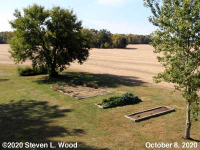 Our Senior Garden - October 8, 2020