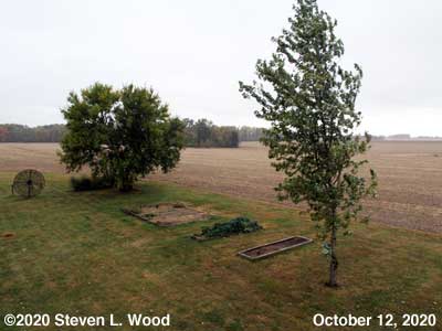 Our Senior Garden - October 12, 2020