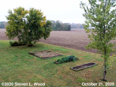 Our Senior Garden - October 21, 2020
