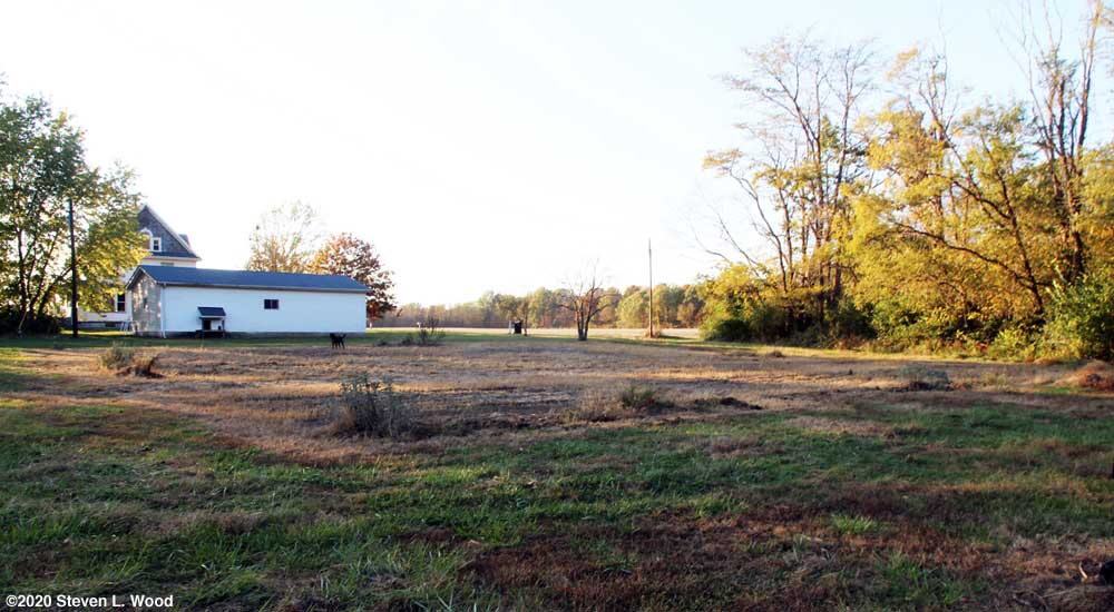 East Garden plot cleared