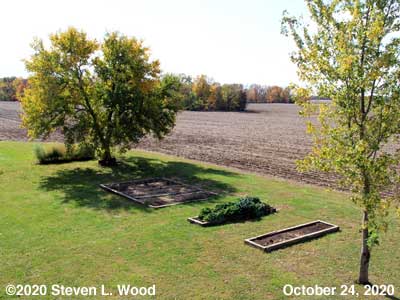 Our Senior Garden - October 24, 2020