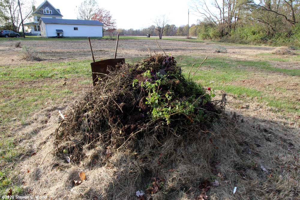 Compost pile - November 2, 2020