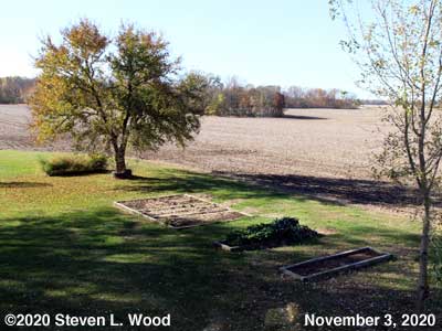 Our Senior Garden - November 3, 2020