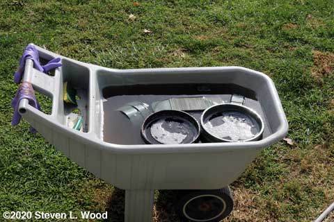 Hanging basket and four inch pots soaking in bleach water