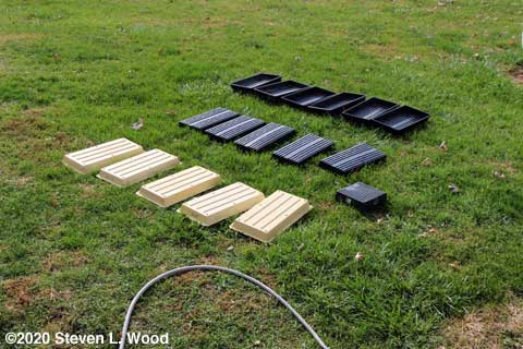 Trays drying on lawn
