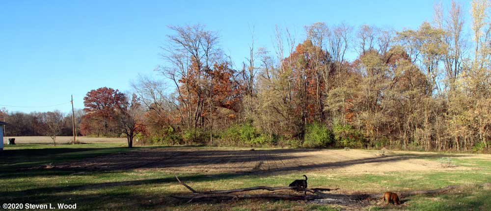 East Garden plot fall tilled