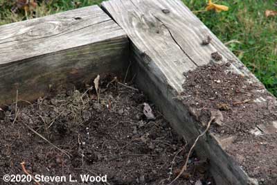 Soil level dropped