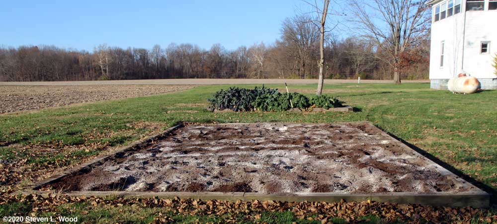 Peat moss and lime on main raised garden bed