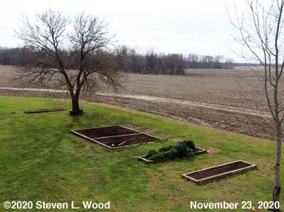 Our Senior Garden - November 23, 2020
