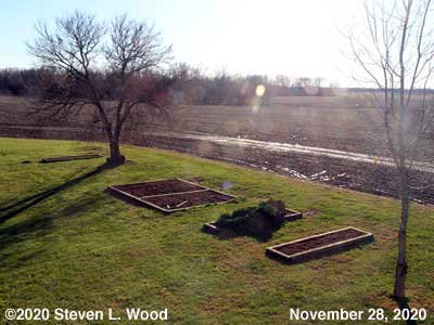 Our Senior Garden - November 28, 2020